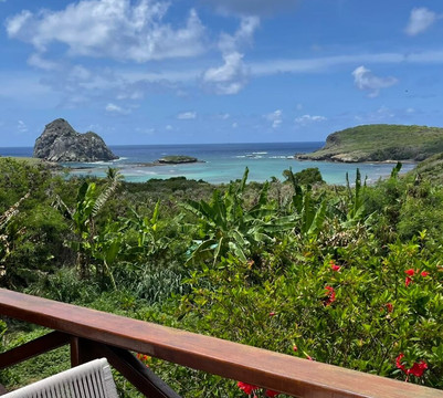 NANNAI 诺罗尼亚主图