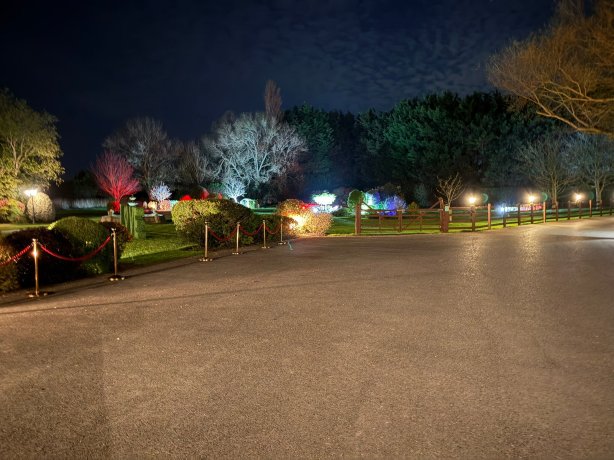 批量乡村房屋-官方