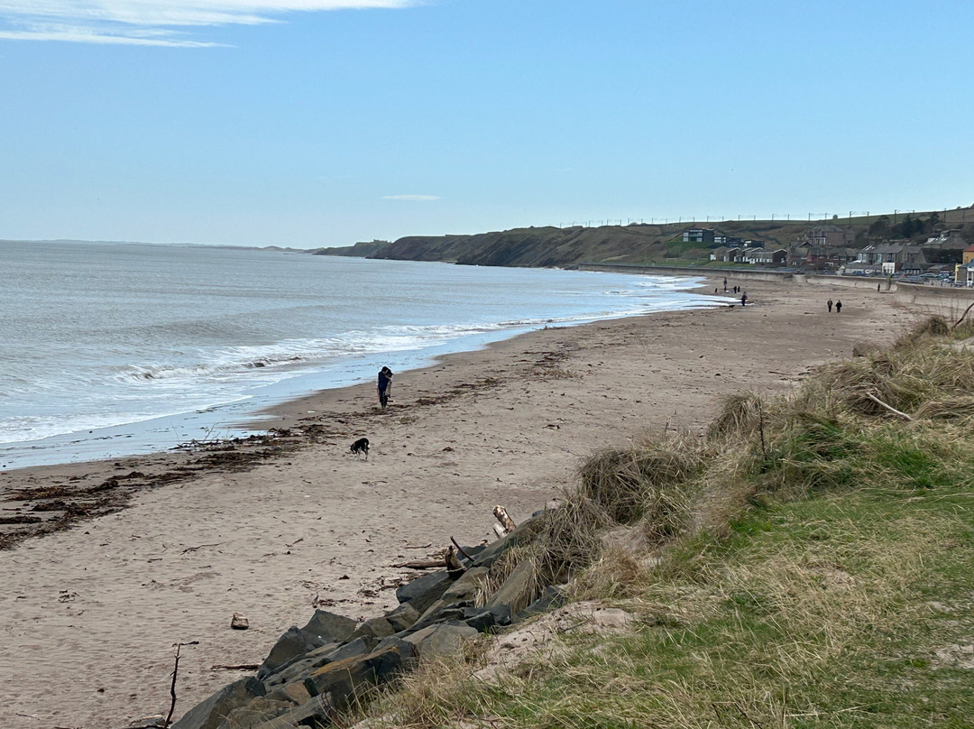 Berwick Visitor Centre-特威德河畔贝里克必去景点