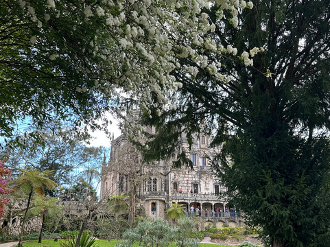 Surf Pro Surf School-里斯本必去景点