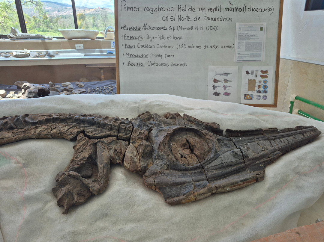 Centro de Investigaciones Paleontologicas - CIP-莱瓦镇必去景点