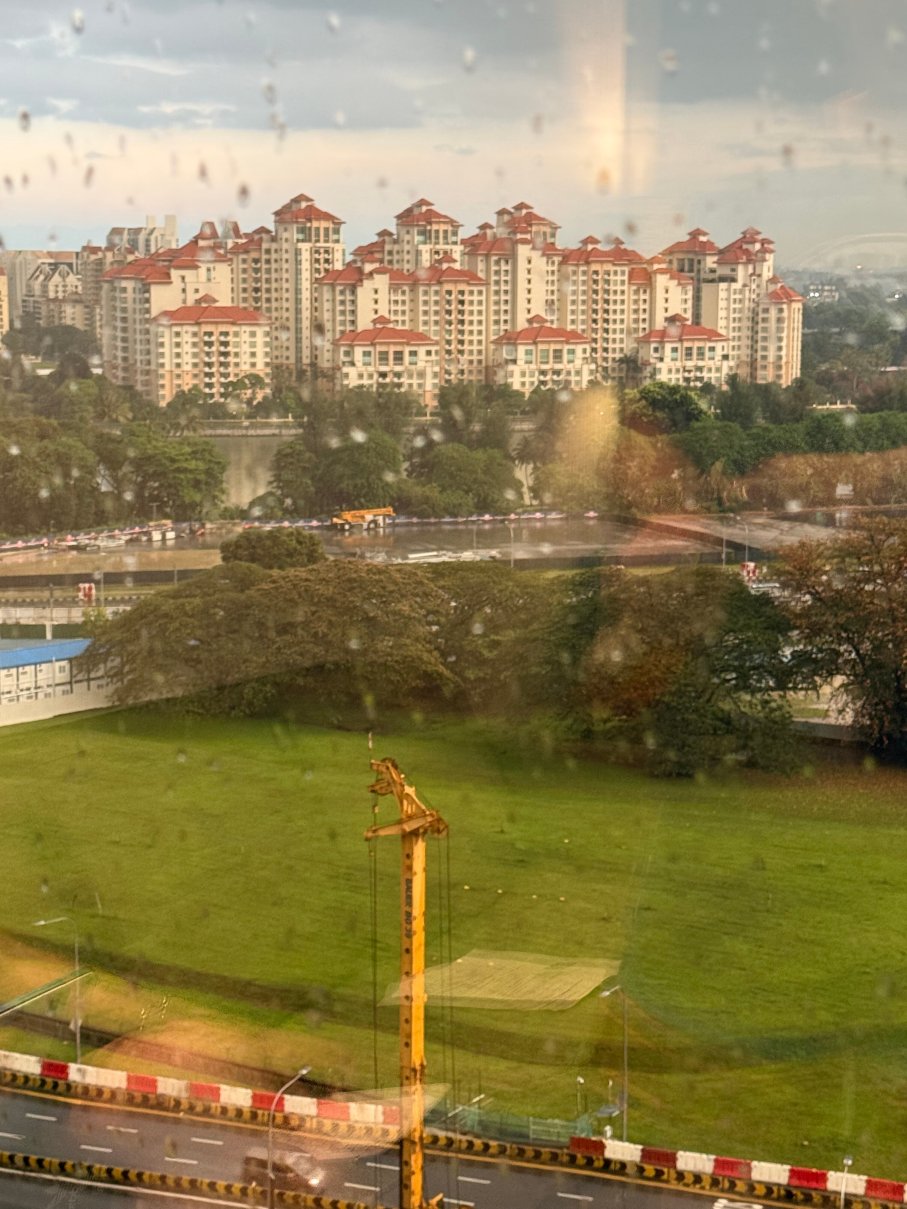 新加坡美芝路泛太平洋高级服务套房酒店式公寓-酒店景观