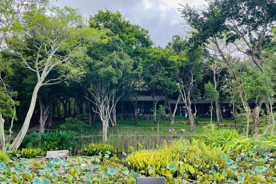 在鹿园酒店主图