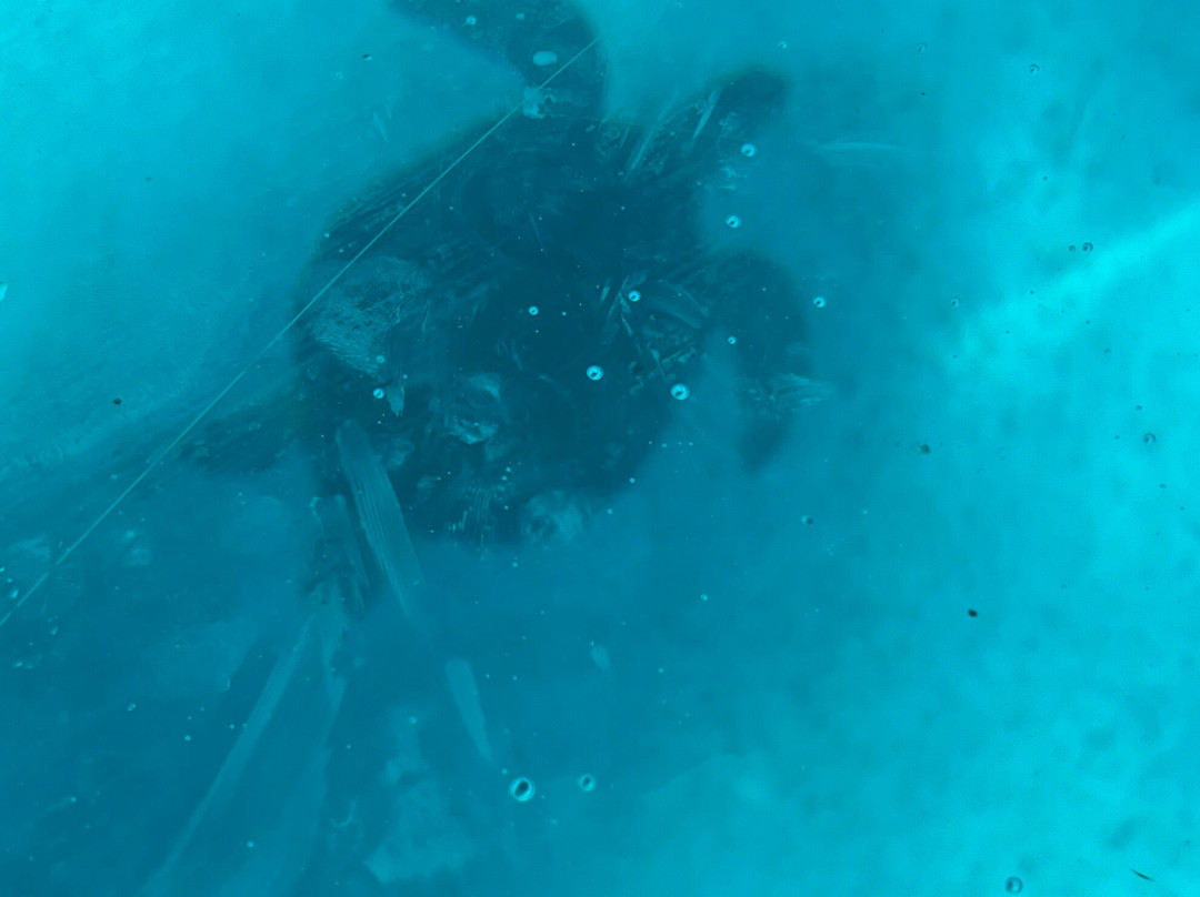 Living Dreams Mexico-普拉亚德尔卡曼必去景点