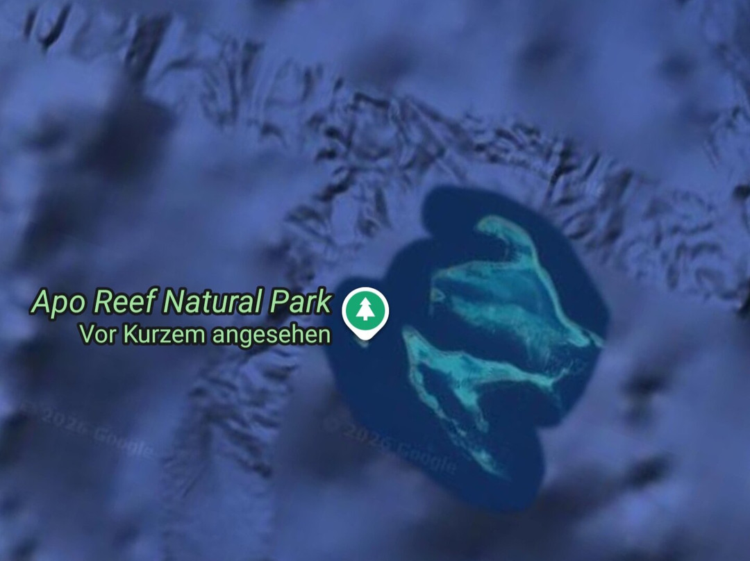 Apo Reef Natural Park-Sablayan必去景点