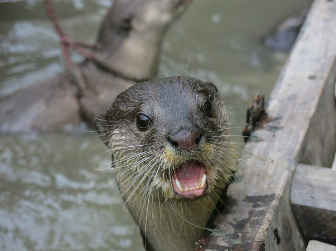 Trip To Bangladesh - Day Tours-达卡市必去景点