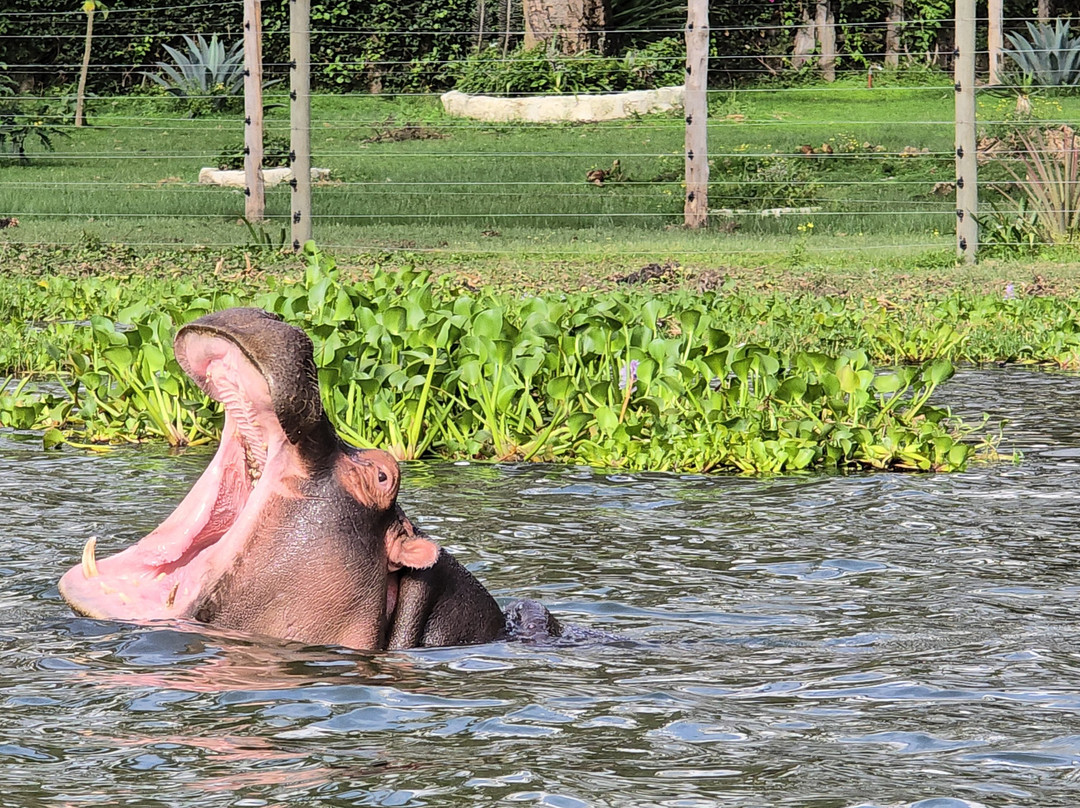 Stokman Safaris-Ruiru必去景点