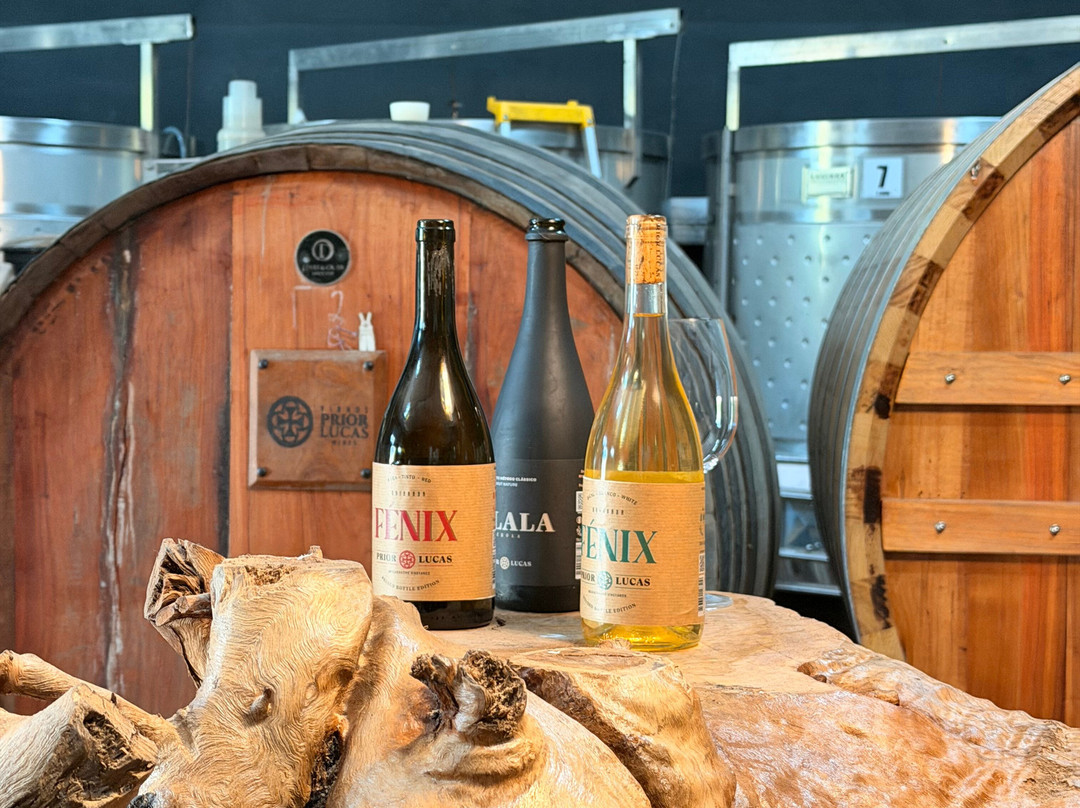 Prior Lucas Vinhos-科英布拉区必去景点