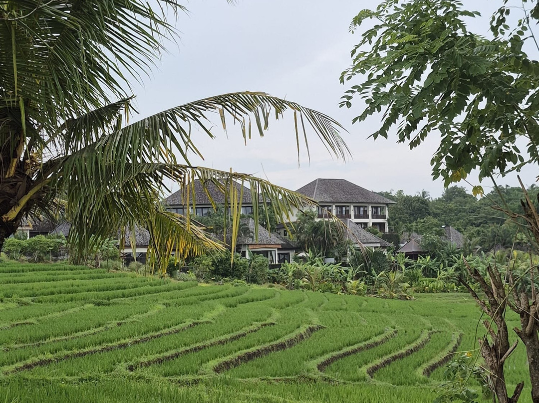 霎哈嘉萨瓦度假别墅主图