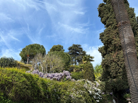 I Giardini Di Villa Della Pergola-阿拉西奥必去景点