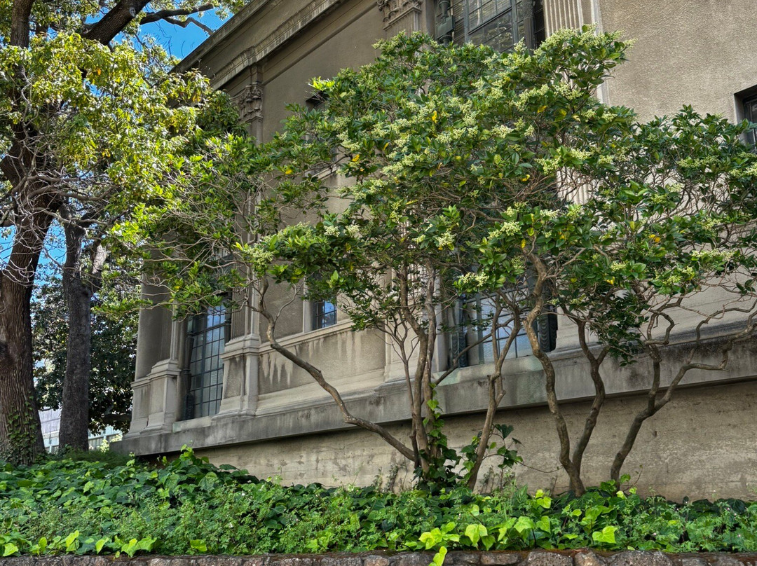 Phoebe A. Hearst Museum of Anthropology-伯克利必去景点