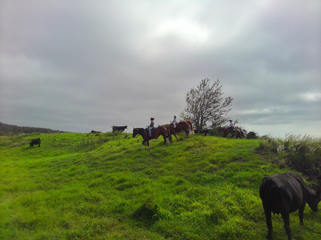 鲁达罗大农场-威可洛亚必去景点