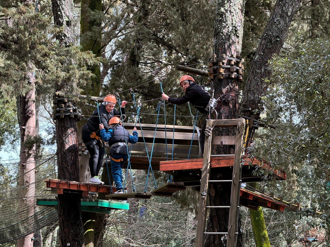 Parcallario Adventure Park into the Monti Iblei-Buccheri必去景点