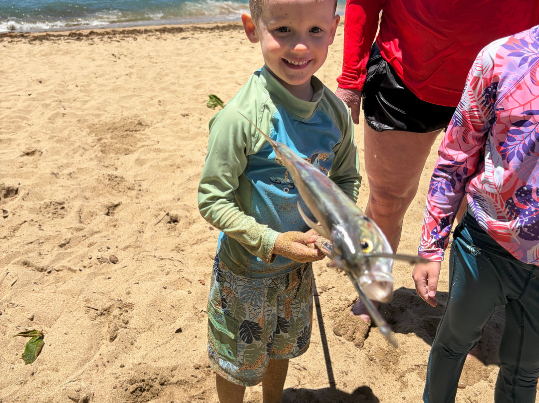 Spearfishing Rincon Puerto Rico-吕康必去景点