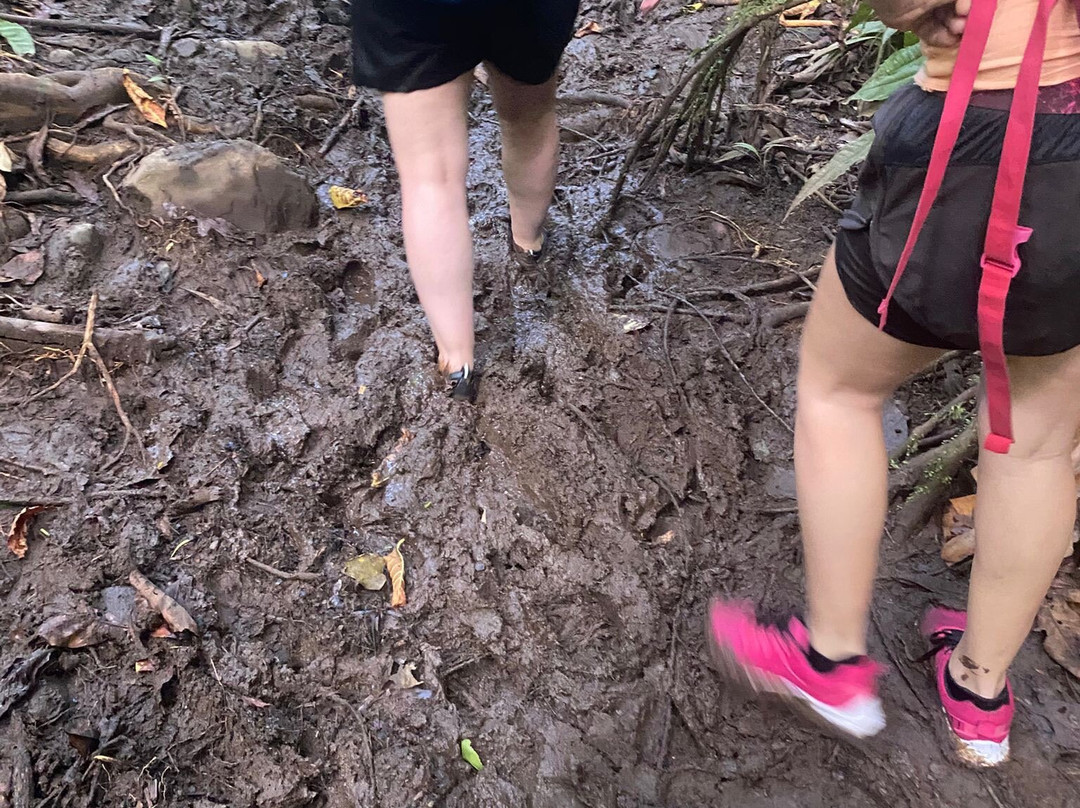 Canyon Moustique-Petit-Bourg必去景点