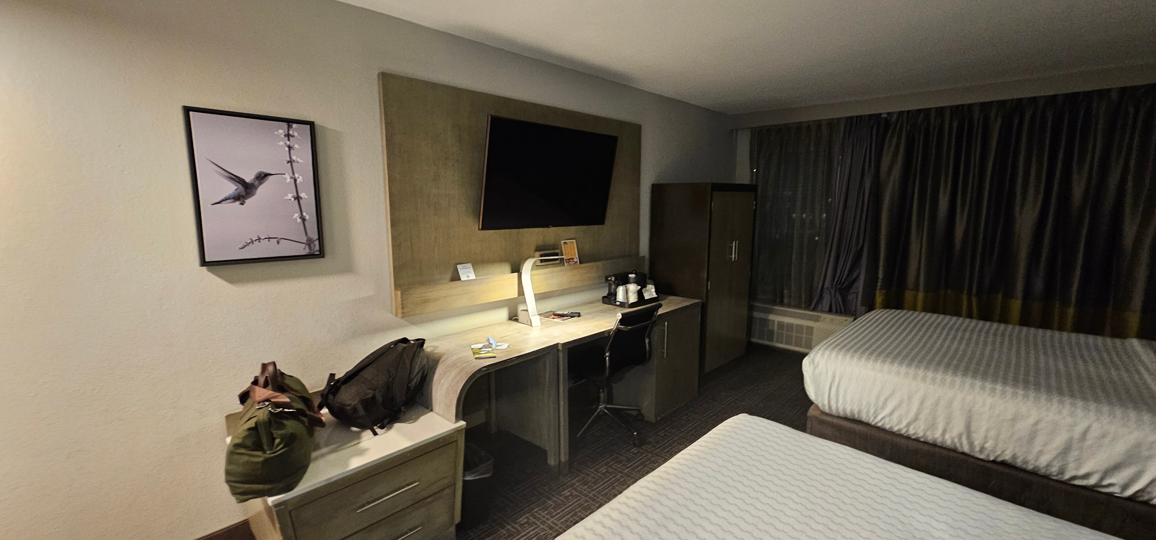 古德利茨维尔蔚景温德姆酒店-客卧