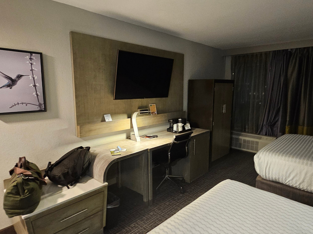 古德利茨维尔蔚景温德姆酒店主图