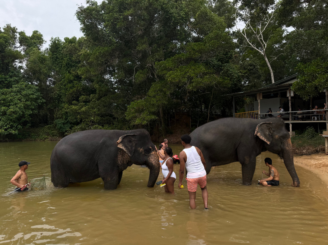 The Lake Phuket Elephant Home-Thep Krasatti必去景点