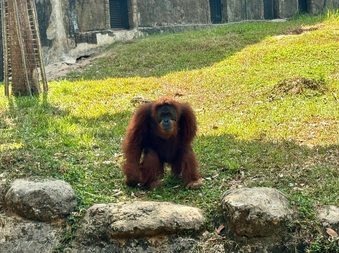 珍珠王国野生动物园-富国岛必去景点