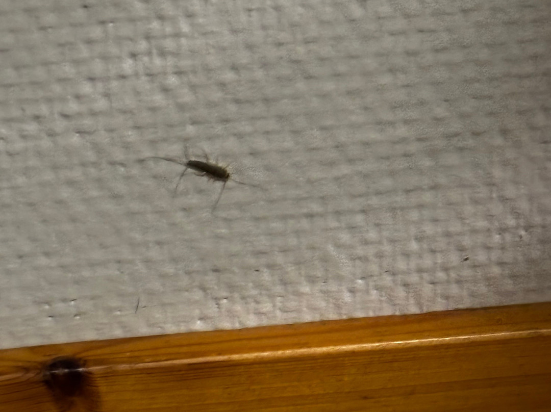 Sømna Kro & Gjestegård主图