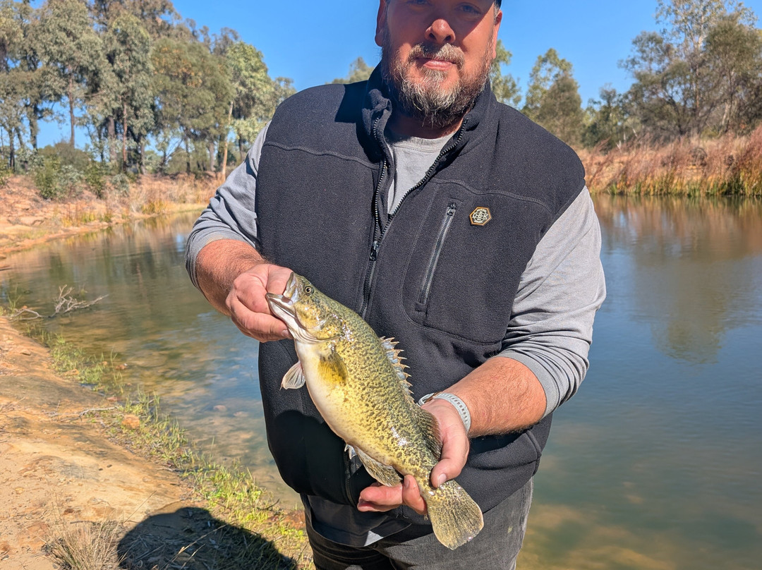 Narrabri Fish Farm-纳拉布莱必去景点