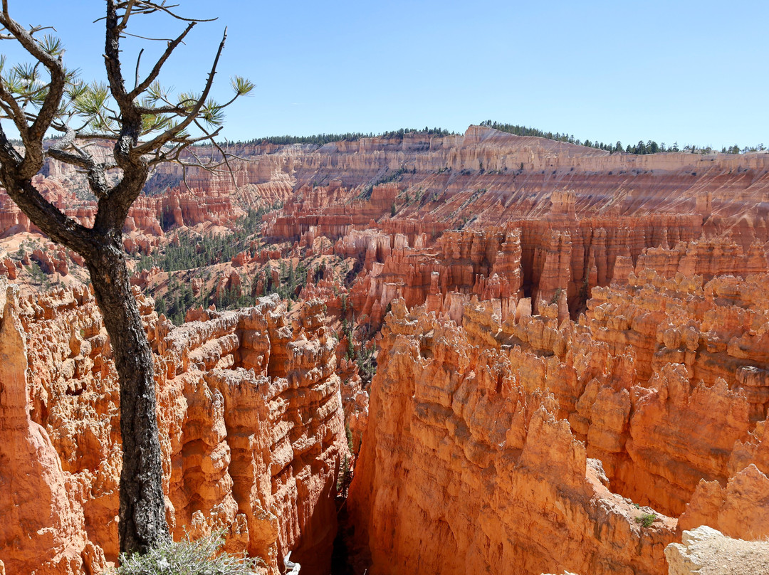 布赖斯峡谷-布莱斯峡谷国家公园必去景点