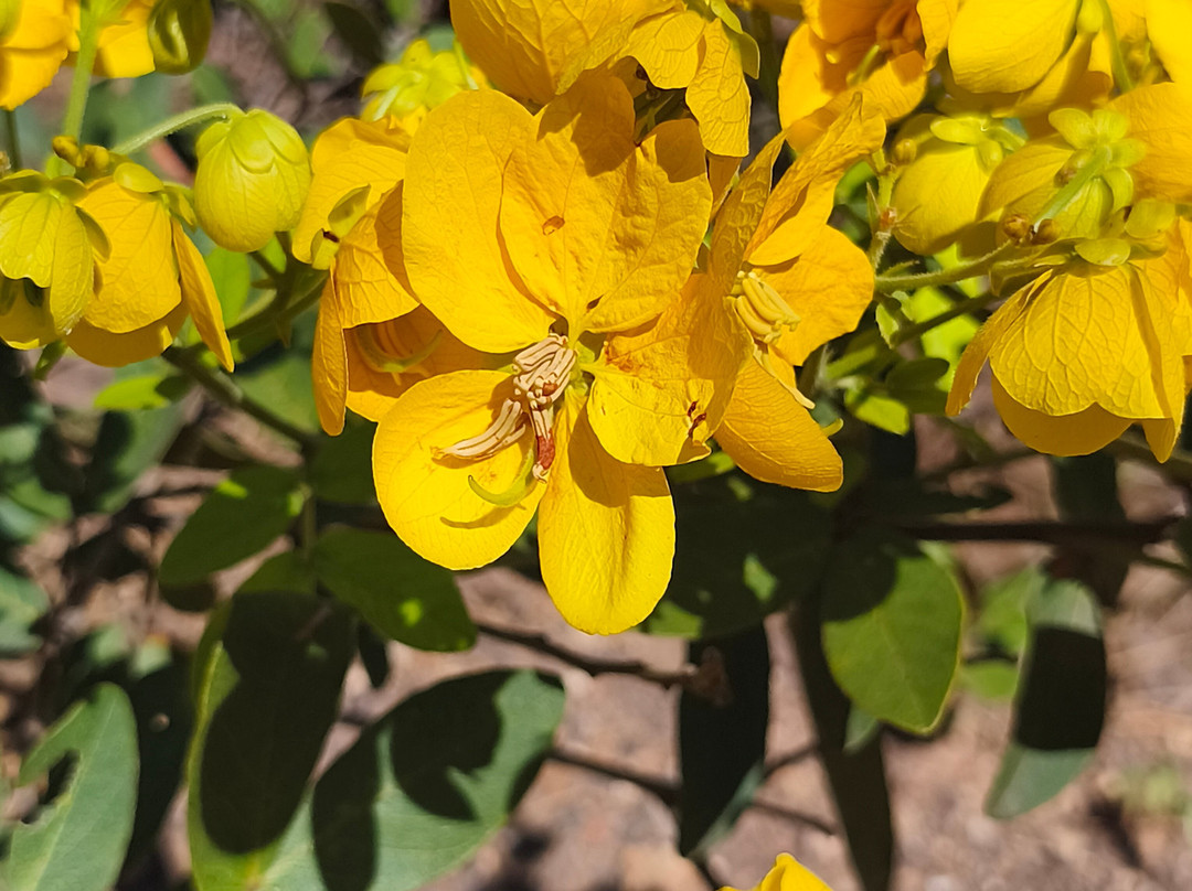 Nautico Praia Clube-Caldas Novas必去景点