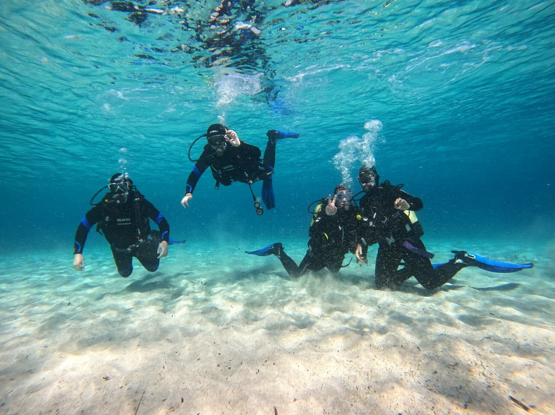 Bluewater Scuba Diving Centre
