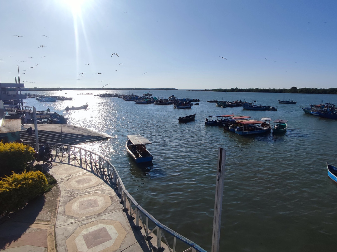 Los Manglares de Puerto Pizarro-Tumbes必去景点