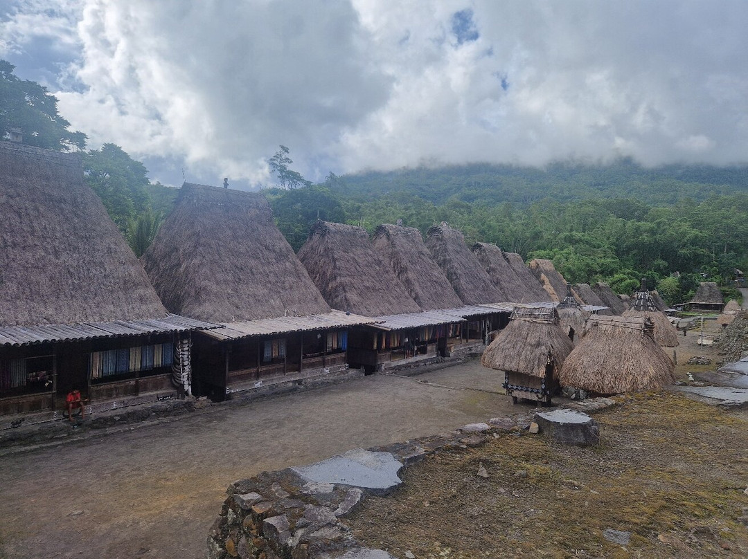 Flores Pristine Tour-Labuan Bajo必去景点