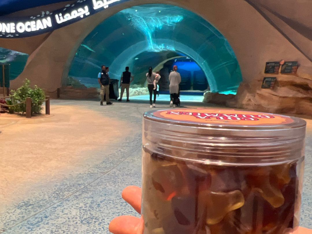 SeaWorld Yas Island Abu Dhabi-阿布扎比必去景点