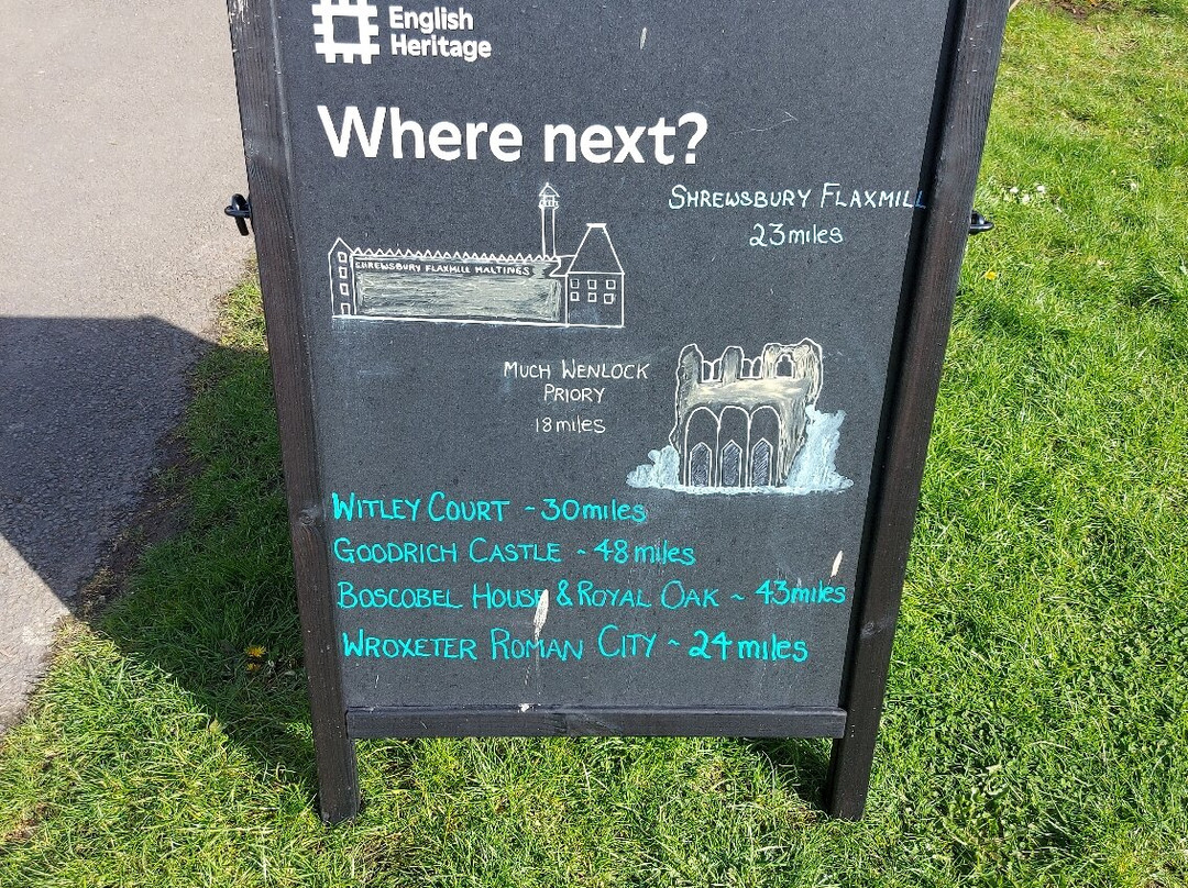 Wroxeter Roman City-Wroxeter必去景点