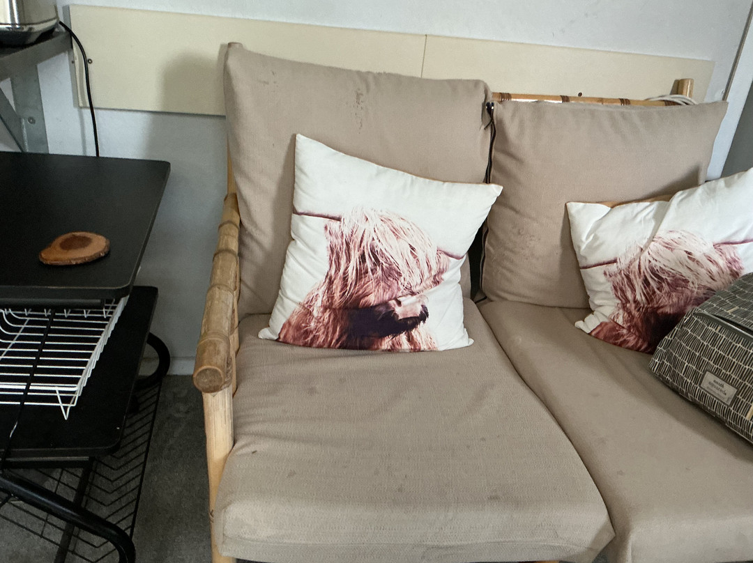 Waitomo Big Bird Bed & Breakfast主图