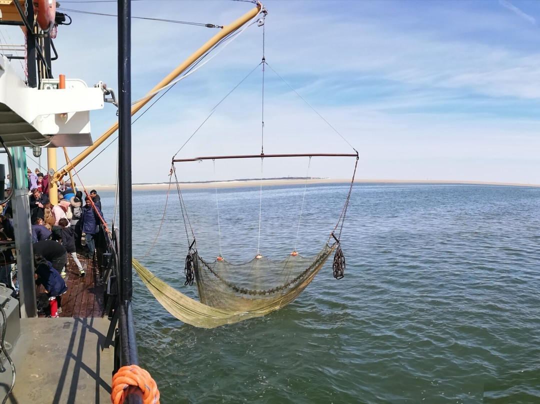 Viking TS3 Sleepnetvissen-West-Terschelling必去景点