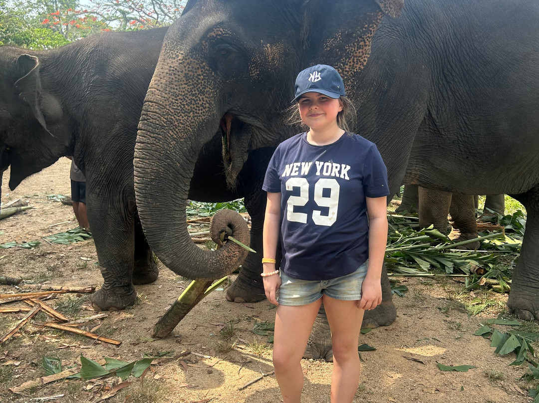 The Lake Phuket Elephant Home-Thep Krasatti必去景点