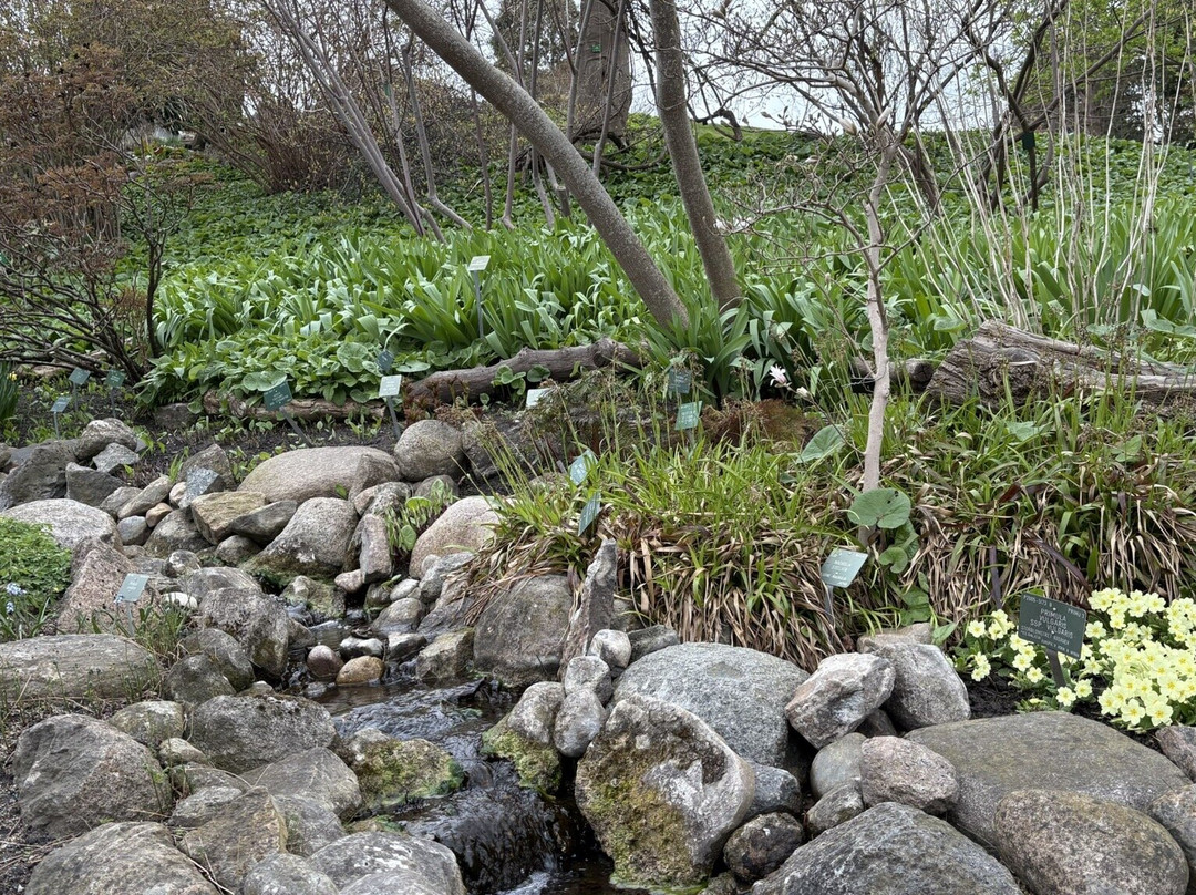 Botanical Garden-哥本哈根必去景点