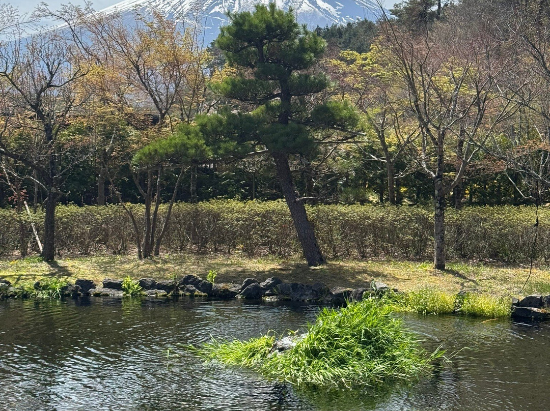 河口湖天上山公园Kachikachi山缆车-富士河口湖町必去景点