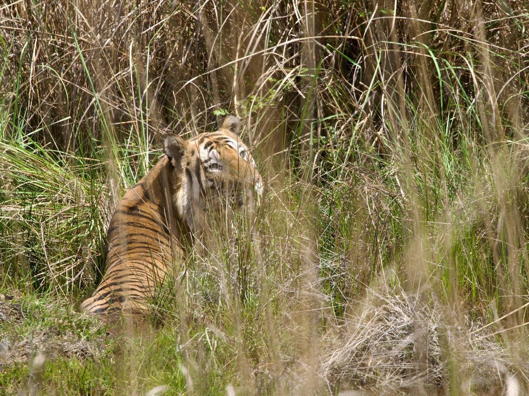 Bandhavgarh National Park-Bandhavgarh National Park必去景点