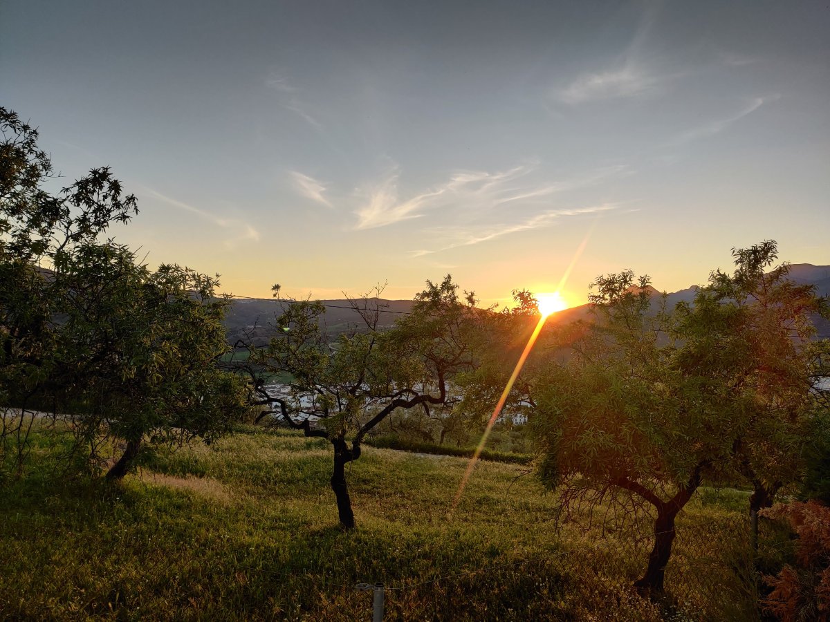 B&b Hacienda Riogordo-旅行者