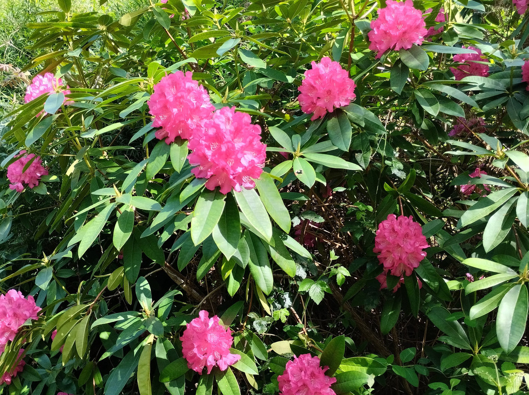 Jungle Garden-Eu必去景点