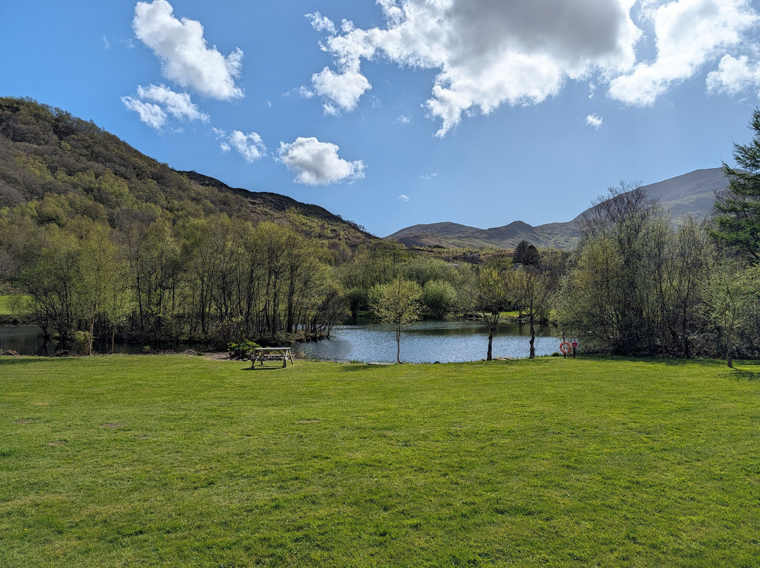 Cae Du Campsite