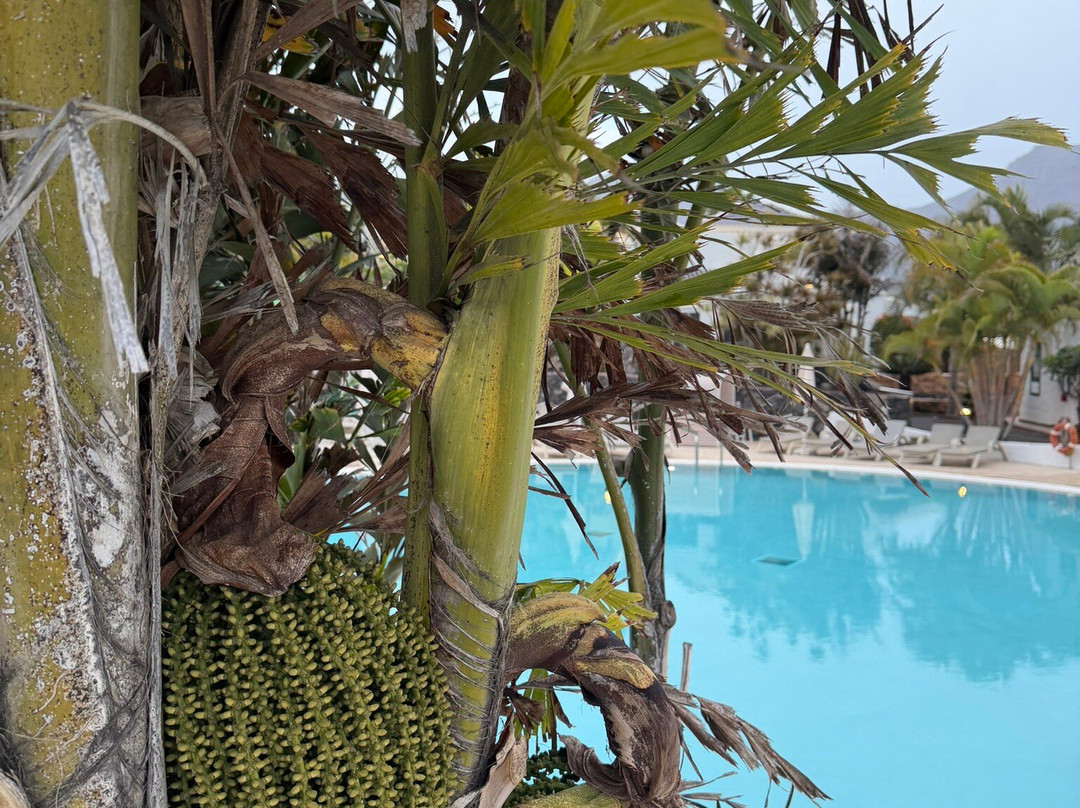 玛丽亚别墅套房酒店主图