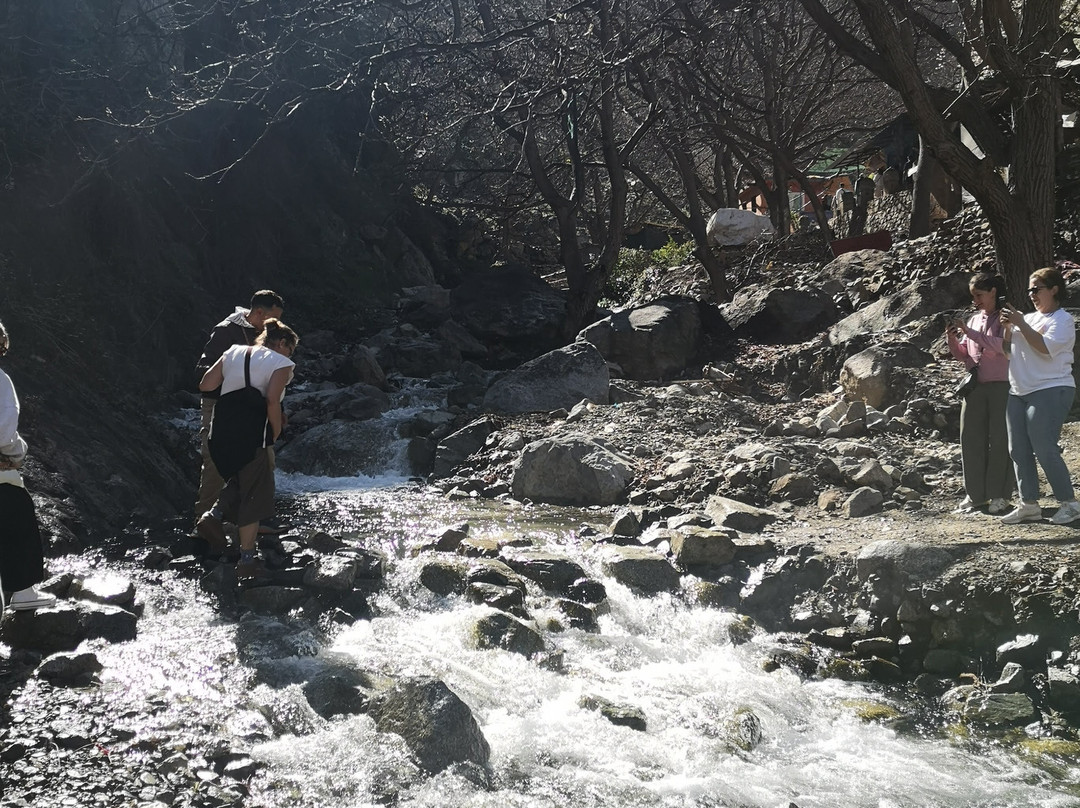 Ouzoud Falls-Ouzoud必去景点