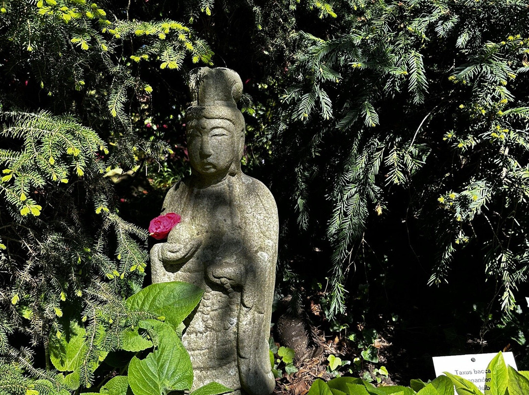 Japanese Garden Leverkusen-勒沃库森必去景点