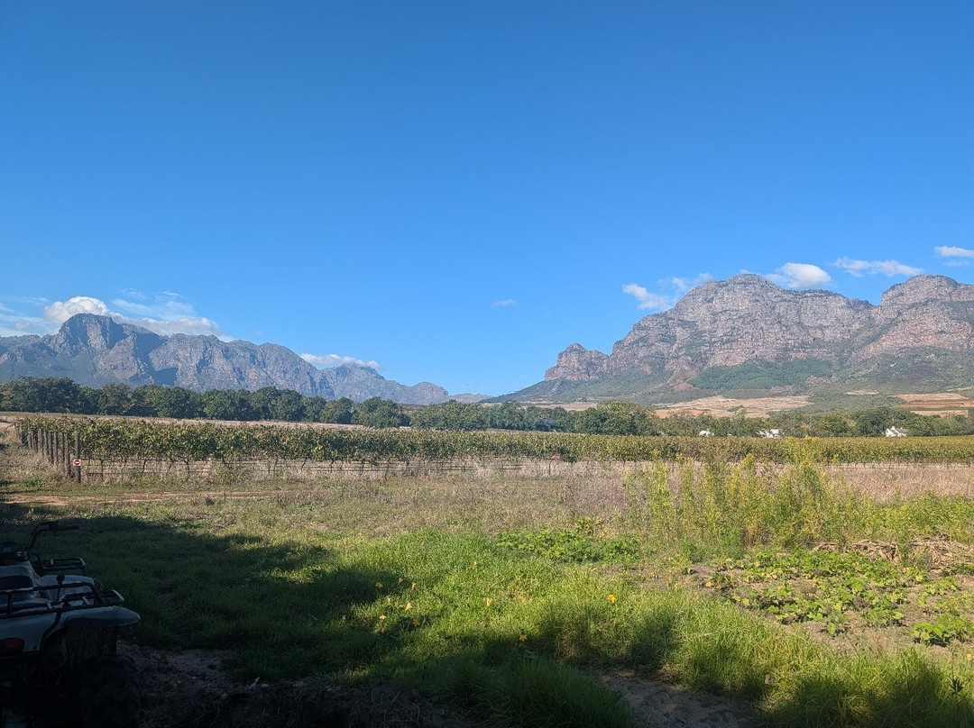 Wine Valley Adventures-法兰舒克必去景点