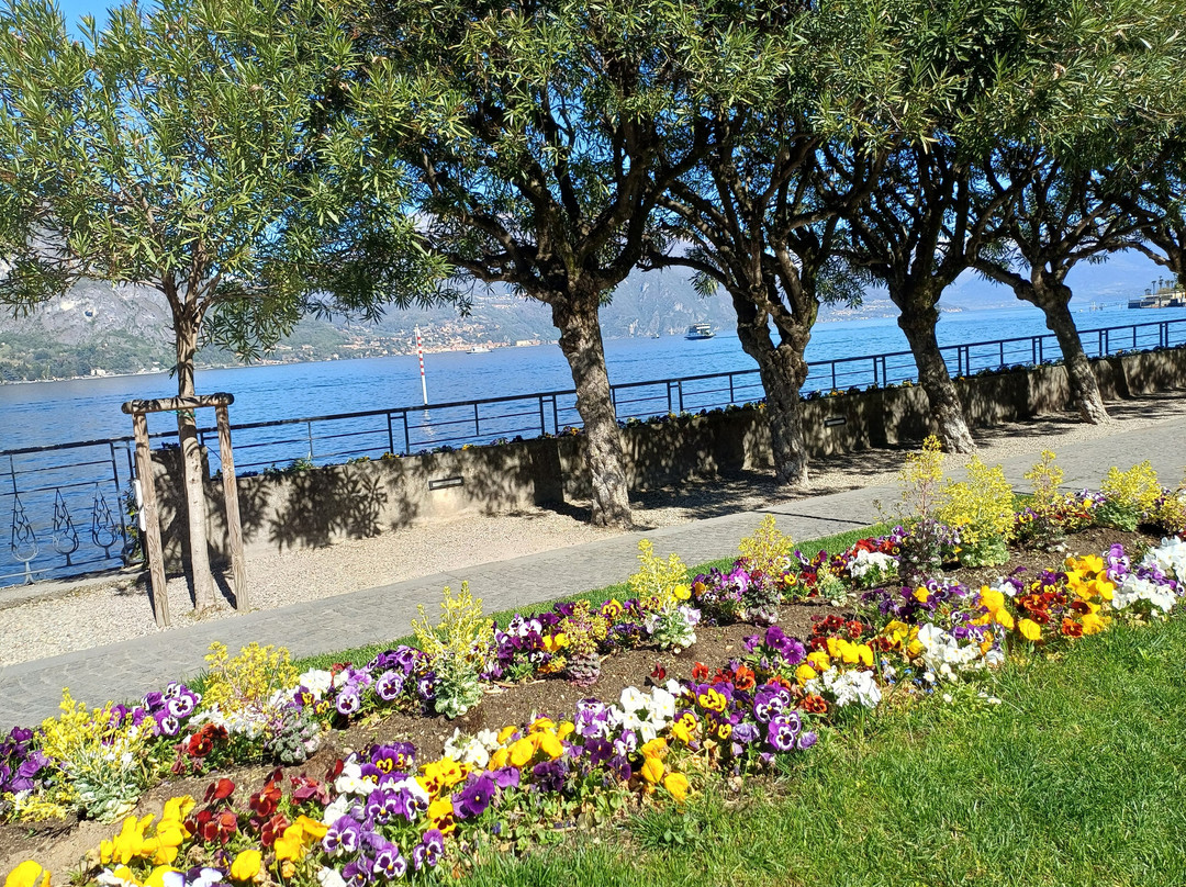 Lungolago