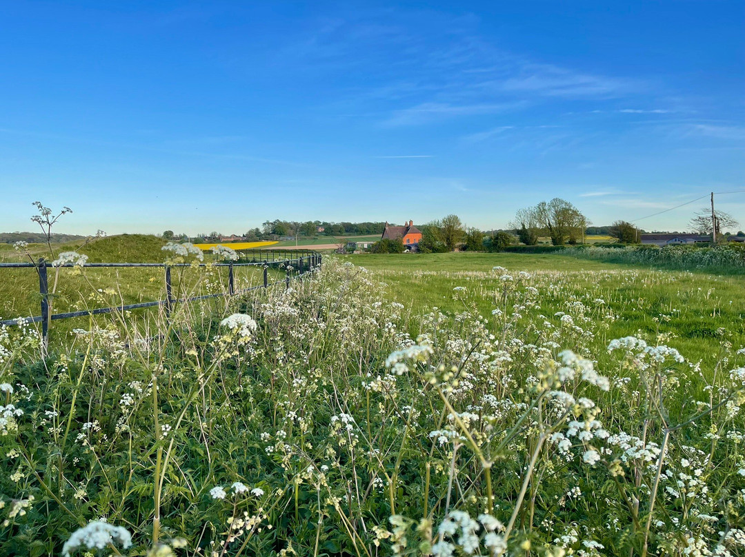 Knowlton Church and Earthworks-Cranborne必去景点