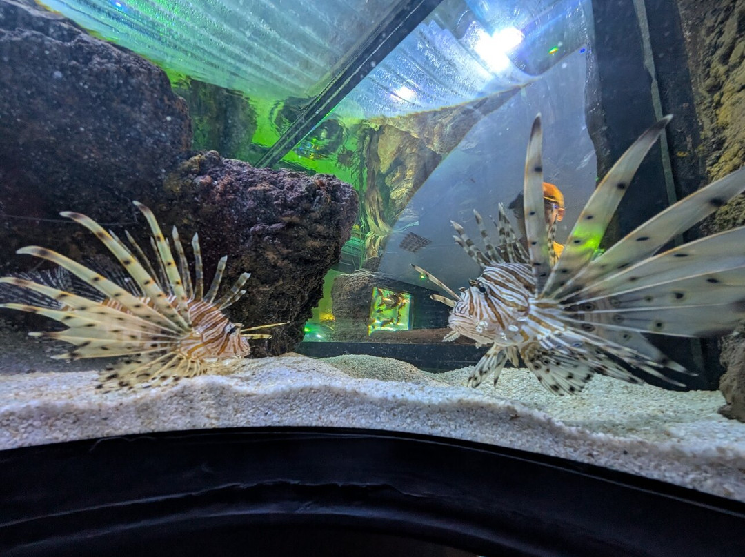 Lakes Aquarium-Newby Bridge必去景点