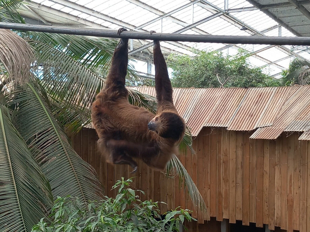 Les Jardins Animaliers Biotropica-Val de Reuil必去景点