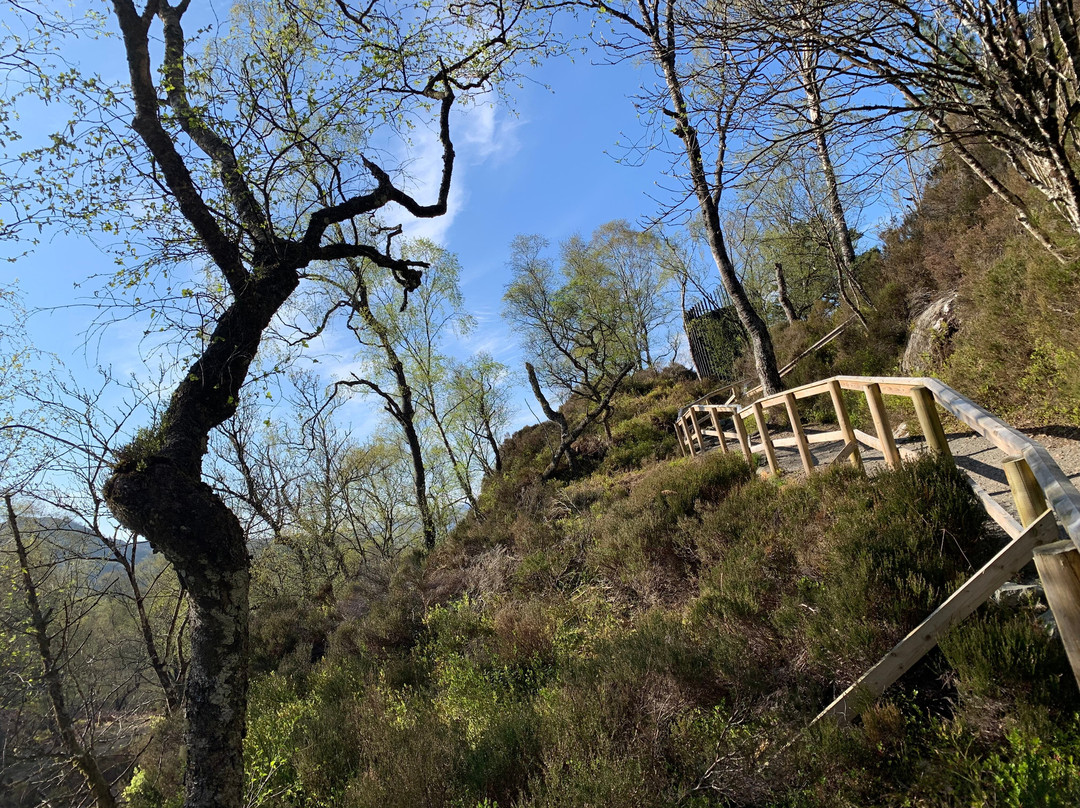 Roderick Dhu Viewing Tower